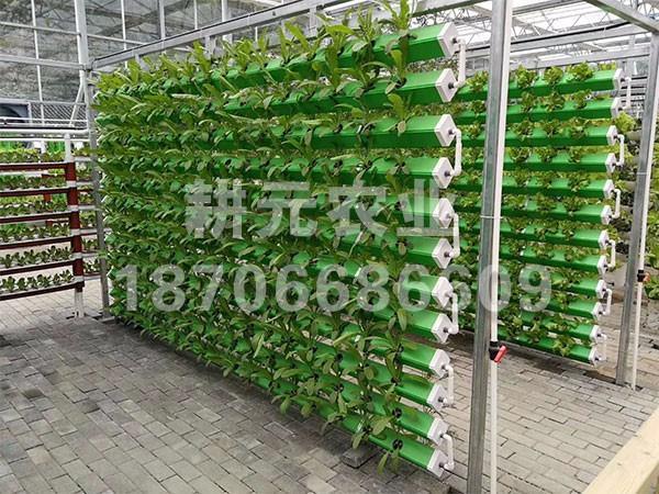 無(wú)土栽培廠家產(chǎn)品具有哪些意義？